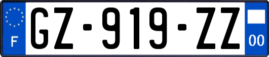 GZ-919-ZZ