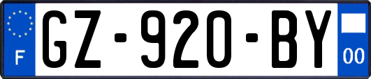 GZ-920-BY
