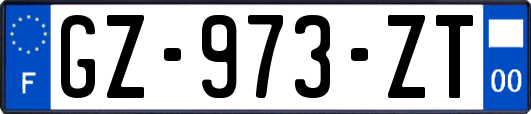 GZ-973-ZT