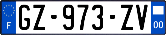 GZ-973-ZV