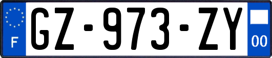 GZ-973-ZY