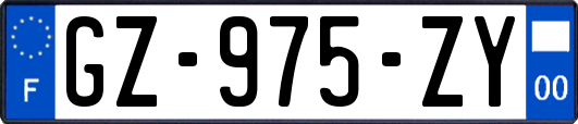 GZ-975-ZY