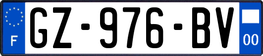 GZ-976-BV