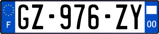 GZ-976-ZY