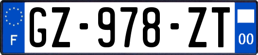 GZ-978-ZT