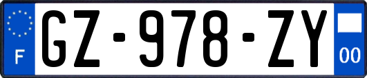 GZ-978-ZY