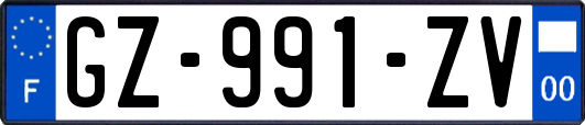 GZ-991-ZV