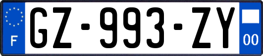 GZ-993-ZY