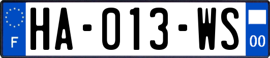 HA-013-WS