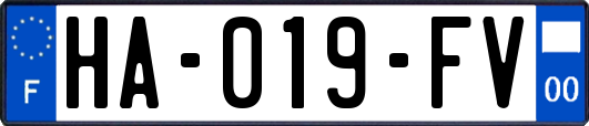 HA-019-FV