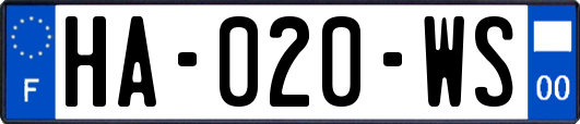 HA-020-WS