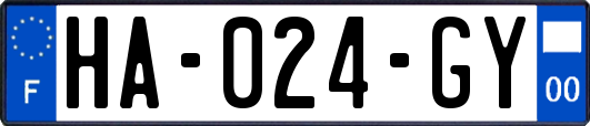 HA-024-GY