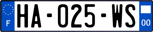 HA-025-WS