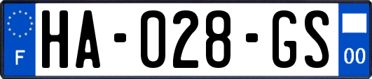 HA-028-GS
