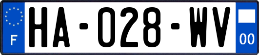 HA-028-WV