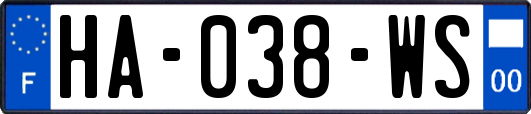 HA-038-WS