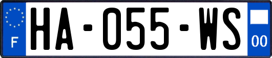 HA-055-WS