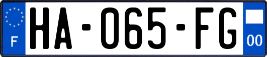 HA-065-FG