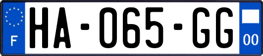 HA-065-GG