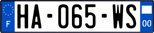HA-065-WS
