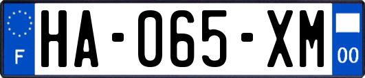 HA-065-XM