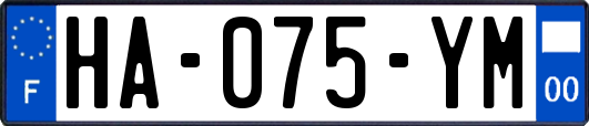 HA-075-YM