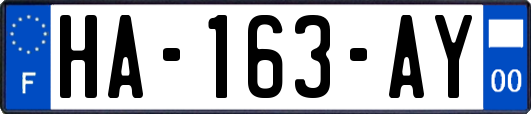 HA-163-AY