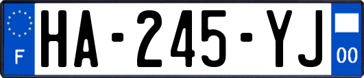 HA-245-YJ