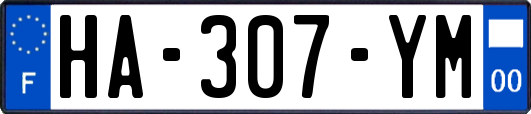 HA-307-YM