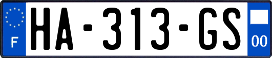 HA-313-GS