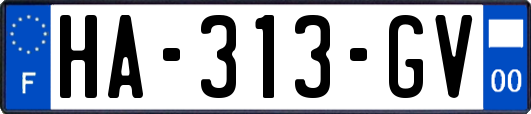 HA-313-GV