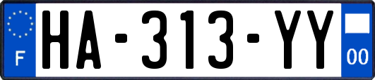 HA-313-YY