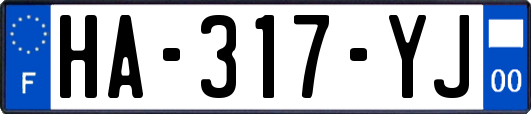 HA-317-YJ