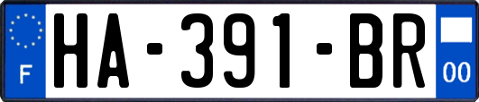 HA-391-BR