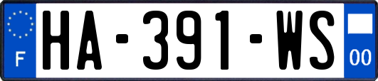 HA-391-WS
