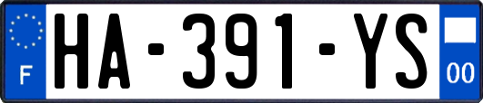 HA-391-YS