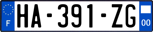 HA-391-ZG