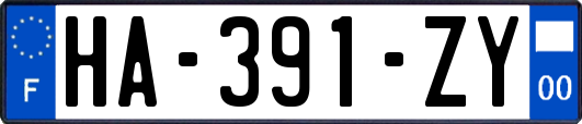 HA-391-ZY