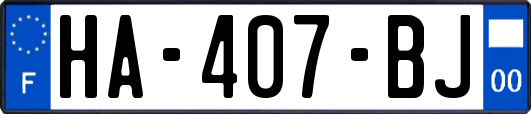 HA-407-BJ