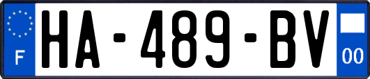 HA-489-BV