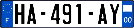 HA-491-AY