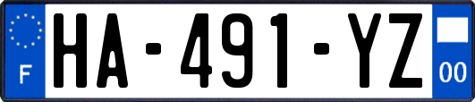 HA-491-YZ
