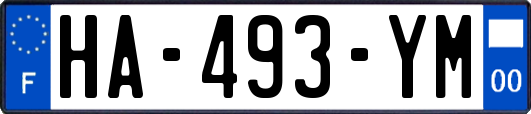 HA-493-YM