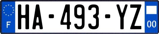 HA-493-YZ