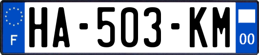 HA-503-KM