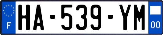 HA-539-YM
