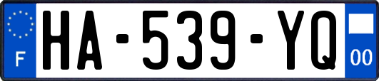 HA-539-YQ