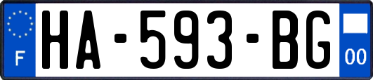 HA-593-BG
