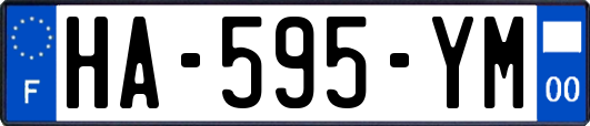 HA-595-YM
