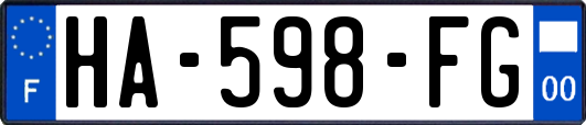 HA-598-FG